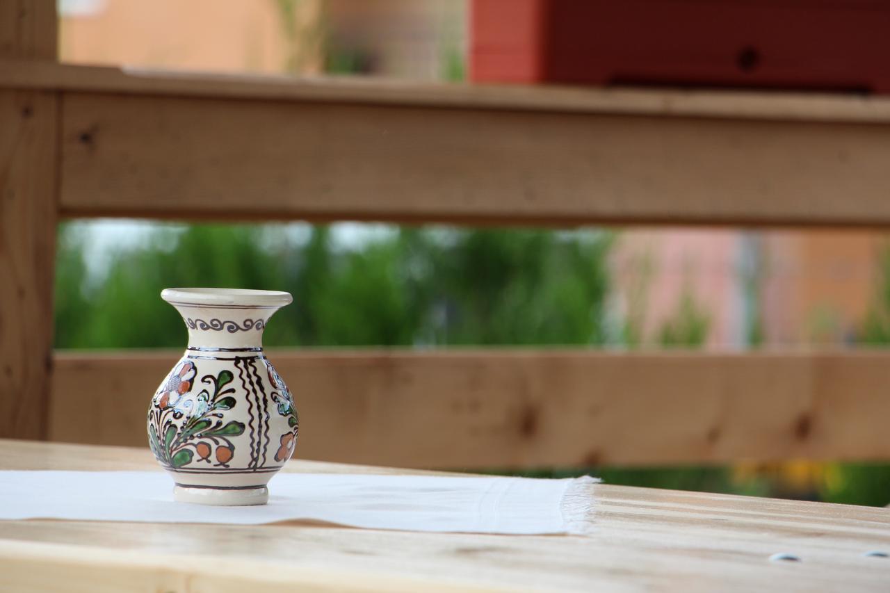 Casa Ralucai Hotel Moisei Ngoại thất bức ảnh