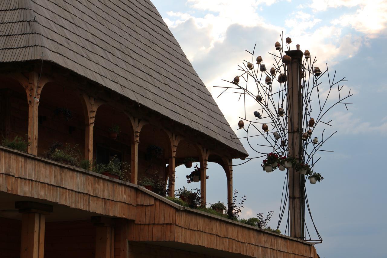 Casa Ralucai Hotel Moisei Ngoại thất bức ảnh