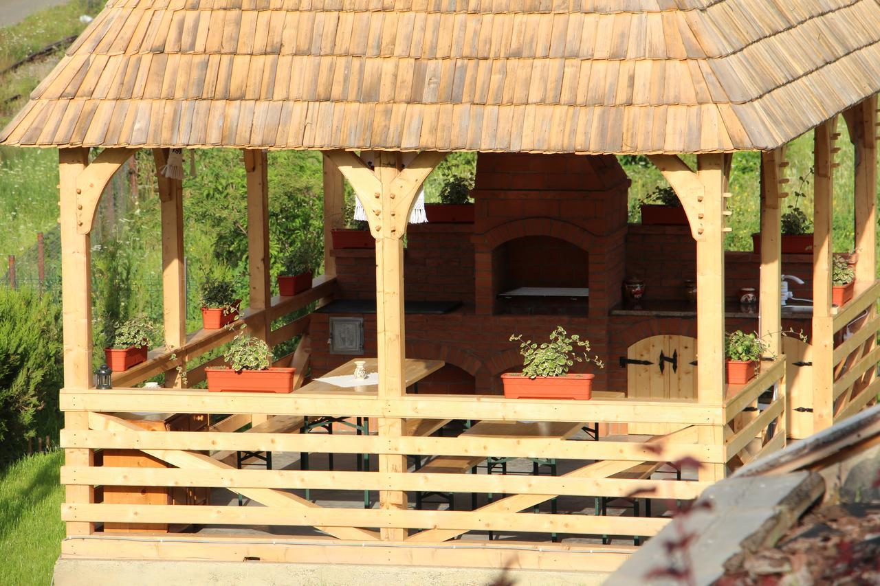 Casa Ralucai Hotel Moisei Ngoại thất bức ảnh